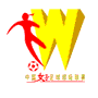 山东体彩女足集锦,山东体彩女足比赛集锦回放