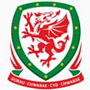 威尔士U21录像,威尔士U21比赛录像回放